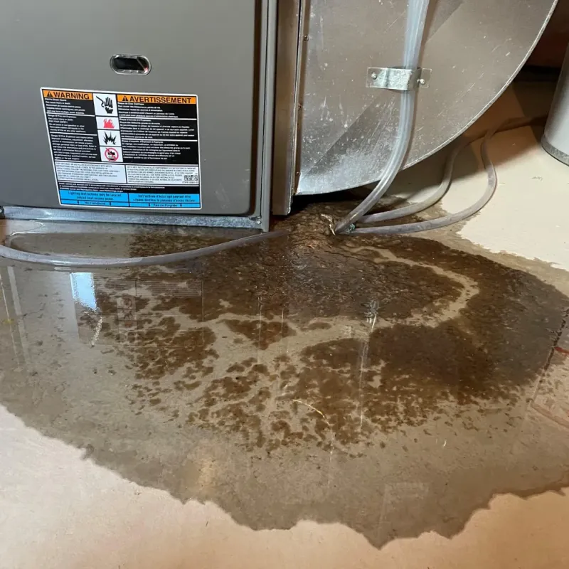 Appliance Leak Cleanup in Holualoa, HI