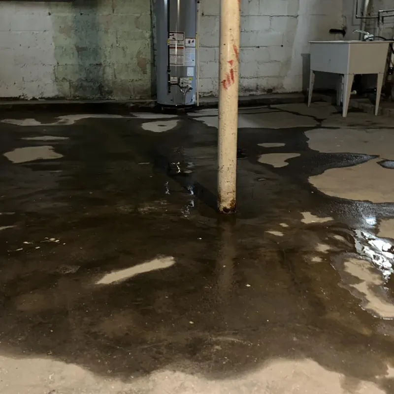 Emergency Water Extraction And Removal in Holualoa, HI
